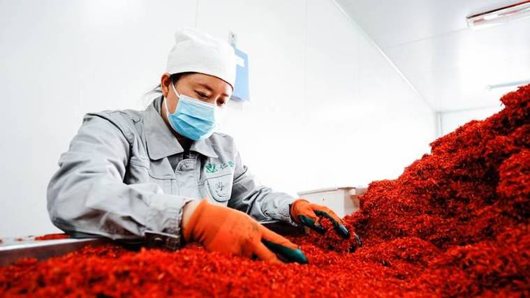 提升中药材种植质量 点燃产业发展的新引擎